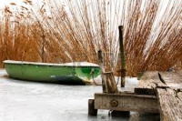Arrivederci in primavera